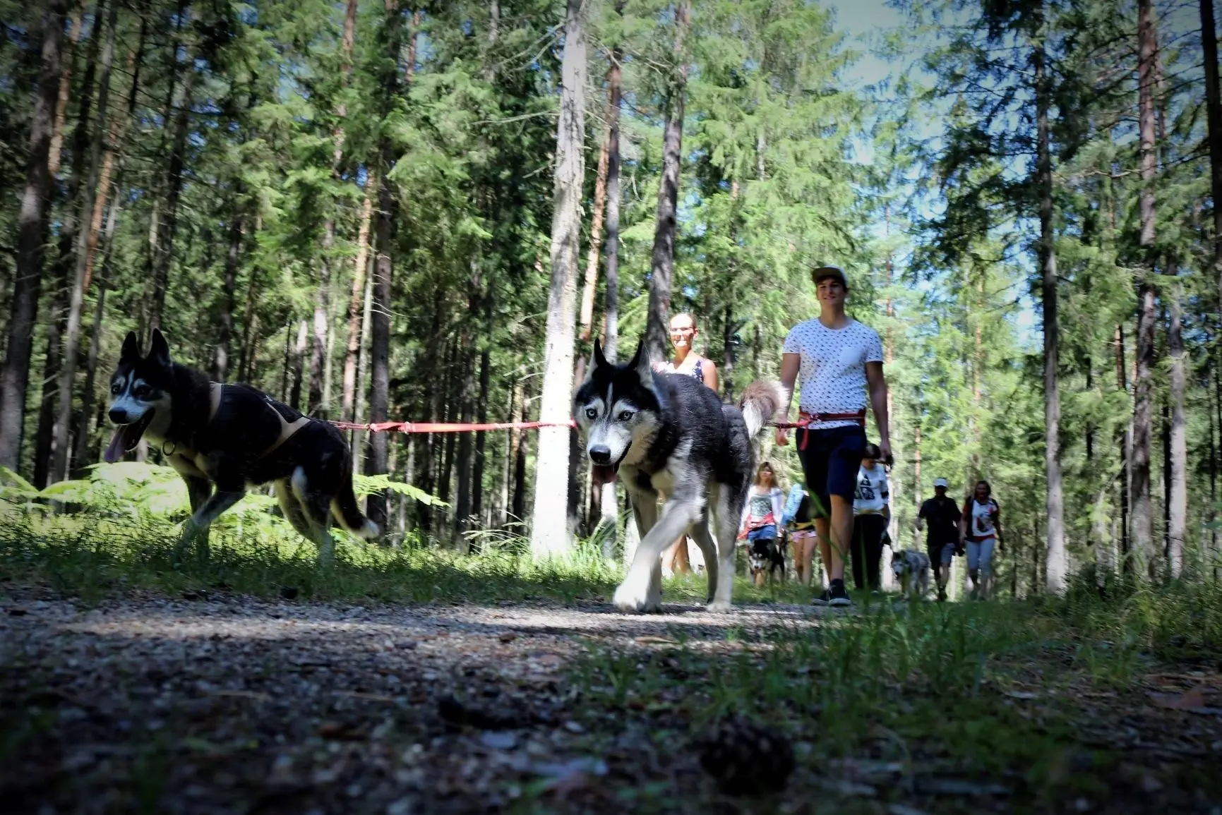 Huskywandern - Husky-Trekking – Bild 2